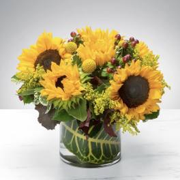 SUNNY SUNFLOWER