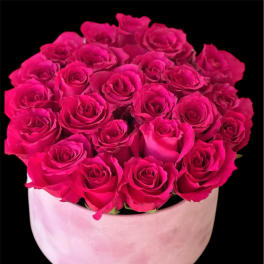 Hot pink roses arranged in a pale pink round box