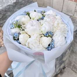 Cloud Peonies