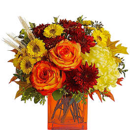 Autumn Expression