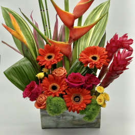 Tropical arrangement with orange heliconia, gerbera daisies, roses, and red ginger in a wooden box