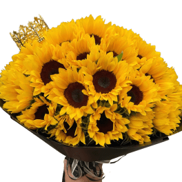 Sun Buchón