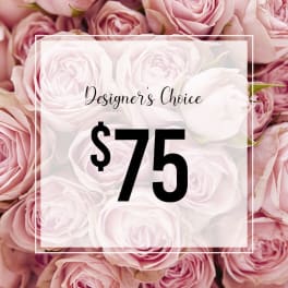 Designer's Choice - 75$