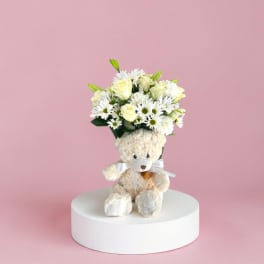 Teddy Combo by Amanda