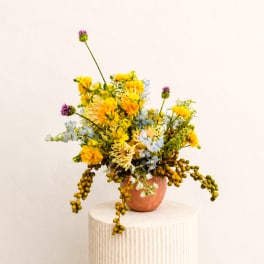 Mixed yellow and blue flowers in a small terracotta vase