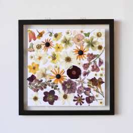 Framed pressed flower collage with assorted blooms in white, yellow, orange, and purple