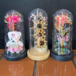 Three decorative dome displays with preserved flowers and a teddy bear.