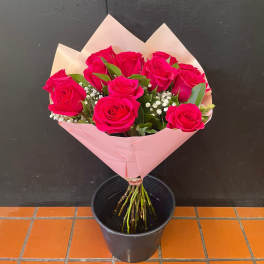 Daily Dozen Rose Bouquet (Pink/Red/Purple/Mix)