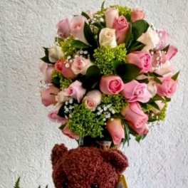 Sweet Teddy Rose Garden