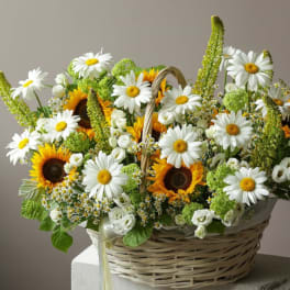 Basket arrangement of sunflowers, white daisies, and green blooms