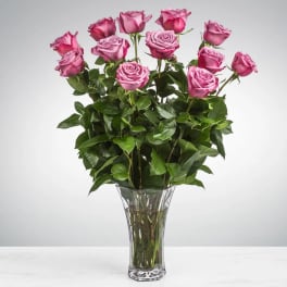 Dozen Long Stemmed Lavender Roses