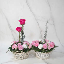 Pink Garden Duo