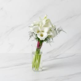 Whisper of Ivory