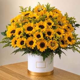 Large bouquet of yellow sunflowers in a white hatbox