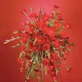 Red Monochromatic Spray