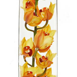 Tall glass vase with yellow-orange orchids and a burgundy ribbon