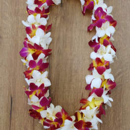 Sunset double orquid lei