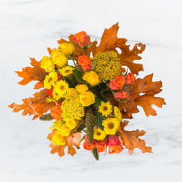 Pumpkin Power by BloomNation™