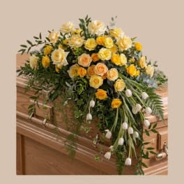 Bonds of Gold Spray Deluxe