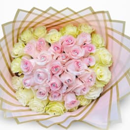 50 Love Pink & White Roses
