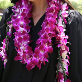 Leis