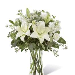 White Wonder
