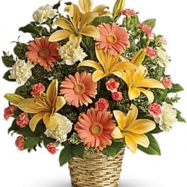Basket arrangement of yellow lilies, peach gerbera daisies, and carnations