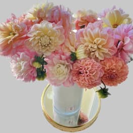 Pink and peach dahlia bouquet in a white vase