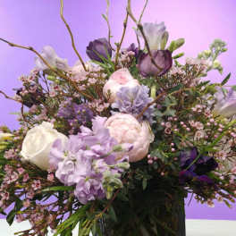 Color me Purple