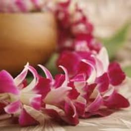 Pink orchid petals arranged around a gold bowl