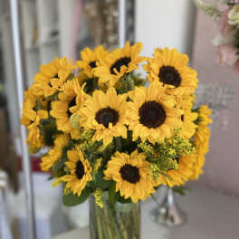 Sunflower Fields
