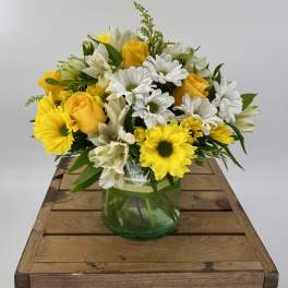 Mellow Yellow