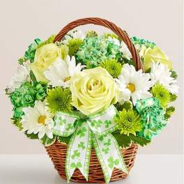 Basket arrangement of pale yellow roses, white daisies, and green carnations with a shamrock ribbon