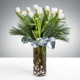 Tall clear vase with white tulips, pine and silver leaf accents.