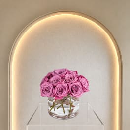 Soft Rose Dome