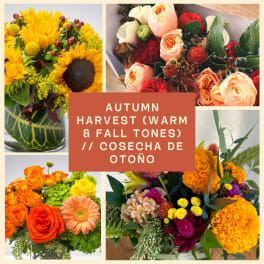 Designer's Choice: Autumn Harvest in Warm, Rustic Hues (cosecha de otoño)