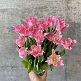 Bouquet of pink tulips in a clear glass vase