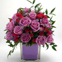 Lavender Lover