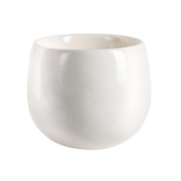 Ceramic Bowl