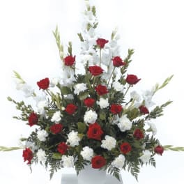Red & White Sentiment