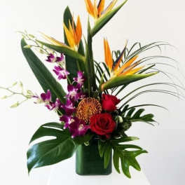 tropical passion