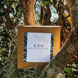 Boxed body and hand soap bar hanging among tree branches