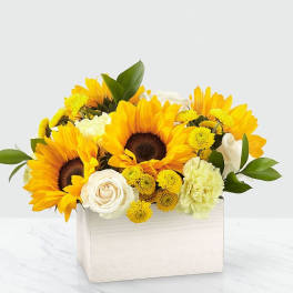 Sweet as Lemonade Sunflower Bouquet