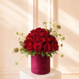 Red roses arranged in a magenta velvet cylinder vase with airy white accents