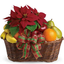 Fruit and Poinsettia Basket