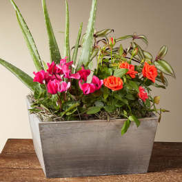 Fresh for Fall Garden