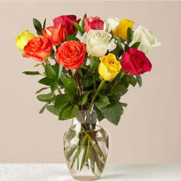 Mixed Roses
