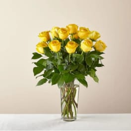 Long Stem Yellow Rose Bouquet