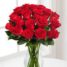 Red Long Stem Roses - VASE INCLUDED
