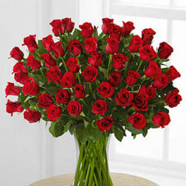 Fifty Red Roses of Romance - VASE INCLUDED